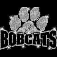 GLT32 SILVER GLITTER Thumbnail